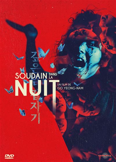 Soudain dans la nuit DVD