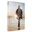 Les beaux jours DVD_0
