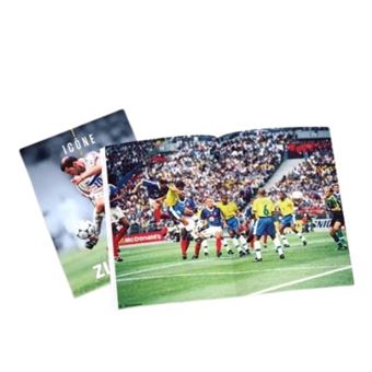 Livre Icône : Zinédine Zidane, numéro collector
