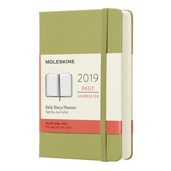 beet Oxide vloeistof 2019 Moleskine Notebook Lichen Green Pocket Daily 12-month Diary Hard -  Jaaragenda bij Fnac.be