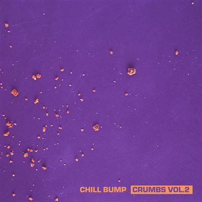 Crumbs Volume 2 Vinyle Recyclé Coloré