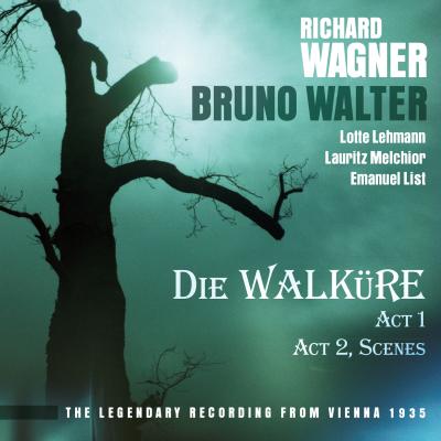 Wagner: Die Walküre-Act 1
