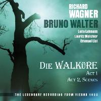La Walkyrie acte 1