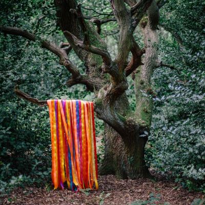 ANIMAL SPIRITS/2LP