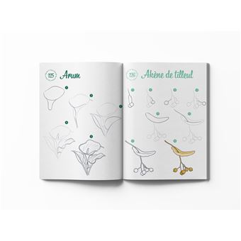 300 modèles à dessiner à dessiner en pas à pas Spécial nature - Dessins étape par étape