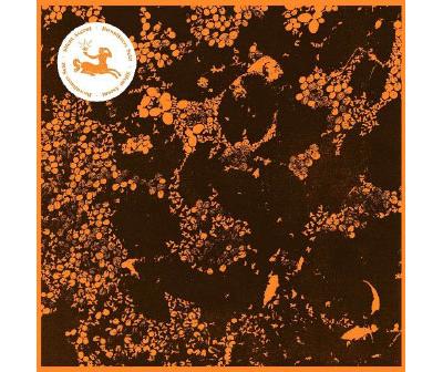 Silent ascent - Inclus MP3