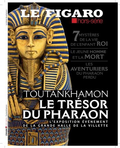 Toutankhamon l'enigme du jeune pharaon