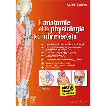 Lanatomie Et La Physiologie Pour Les Infirmieres - 