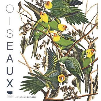 Oiseaux