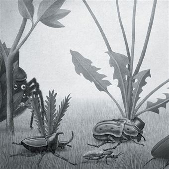 Tombée du ciel