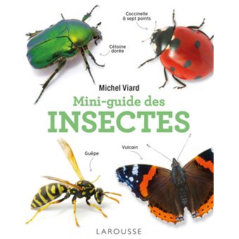 Mini-guide des insectes