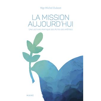 La Mission Aujourd Hui Une Lecture Pratique Des Actes Des Apotres Une Lecture Pratique Des Actes Des Apotres Broche Michel Dubost Achat Livre Ou Ebook Fnac