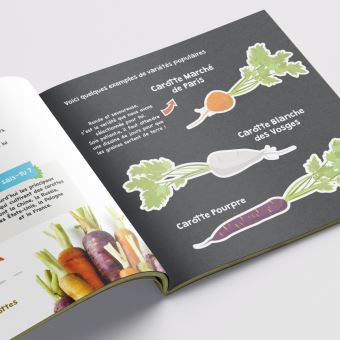 Botaki Le kit prêt à semer Carotte