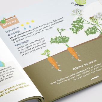 Botaki Le kit prêt à semer Carotte