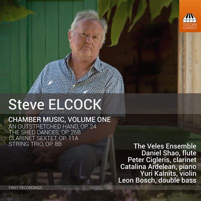 CHAMBER MUSIC - VOLUME ONE