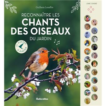 Reconnaître les chants des oiseaux du jardin