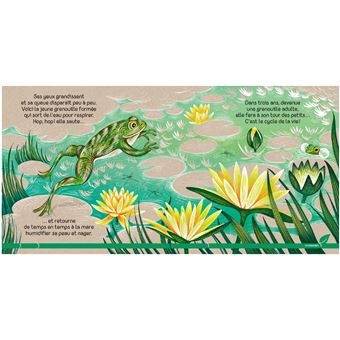 Petite grenouille - Un livre très nature