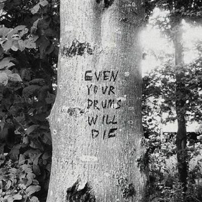 Even Your Drums Will Die Live At Pendarvis Farm 2