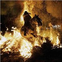 couverture de : Birds in the storm