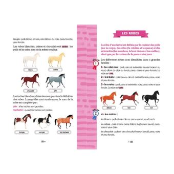 Le Galop des Etoiles - Un cheval pour Ariana - Tome 1