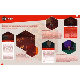 Minecraft - Le grand livre des trucs et astuces - Spécial Biomes - Guide de  jeux vidéo - Dès 8 ans