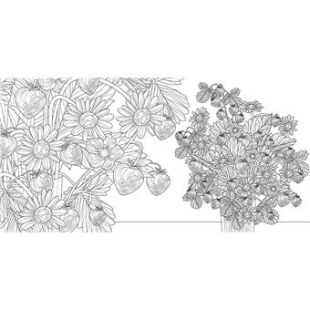 Jardins merveilleux - Une aventure florale à colorier