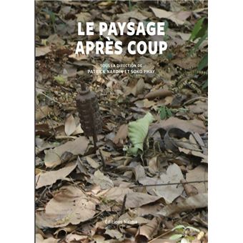 Le Paysage après coup