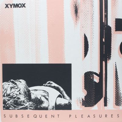 SUBSEQUENT PLEASURES/LP