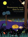 Promenons-nous dans la nuit