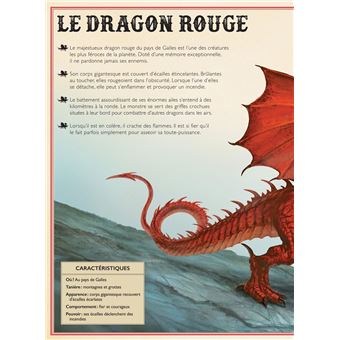 Le Livre extraordinaire des dragons