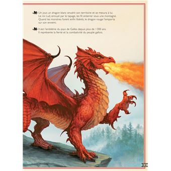 Le Livre extraordinaire des dragons