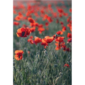 4 saisons à la campagne - Jardin, Maison, Animaux, Cuisine