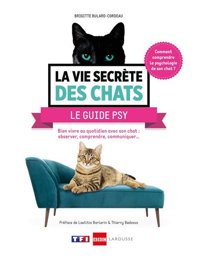 La vie secrète des chats Psy-chat