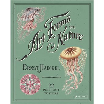 Art Forms in Nature : 22 Pull-Out Posters