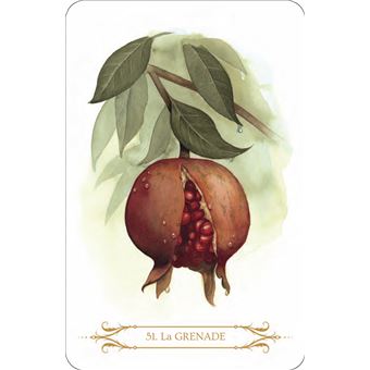 Coffret Sagesse de Sorcières - Oracle