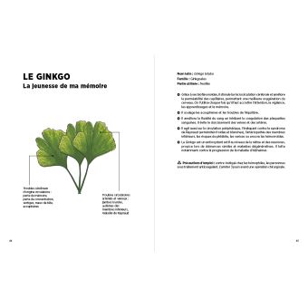 Les tisanes qui soignent