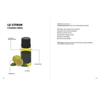 Les tisanes qui soignent