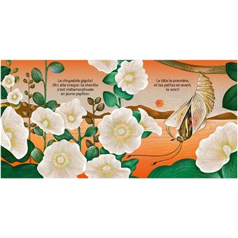 Petit papillon - Un livre très nature