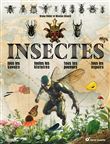 Insectes