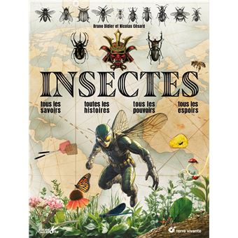 Insectes
