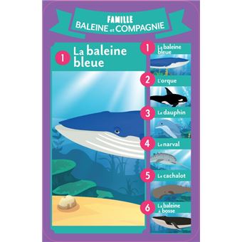 7 familles spécial Créatures des océans