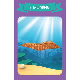 7 familles spécial Créatures des océans