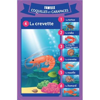 7 familles spécial Créatures des océans