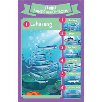 7 familles spécial Créatures des océans