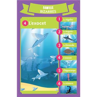 7 familles spécial Créatures des océans