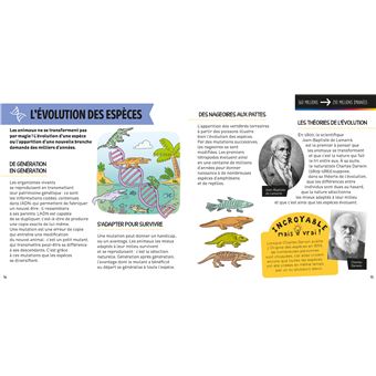 Les sciences C'est pas sorcier -La naissance de la vie sur Terre