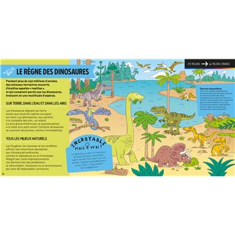 Les sciences C'est pas sorcier -La naissance de la vie sur Terre