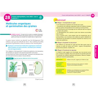 Annales du bac Annabac 2024 SVT Tle générale (spécialité)