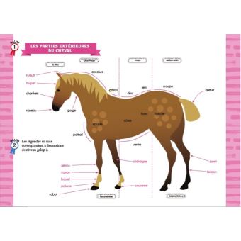 Le Galop des Etoiles - Le secret de Cherokee - Tome 2