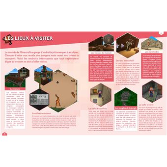 STÉPHANE PILET - Minecraft : le grand livre des trucs et astuces